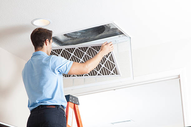 Best HVAC air duct cleaning  in Dowagiac, MI